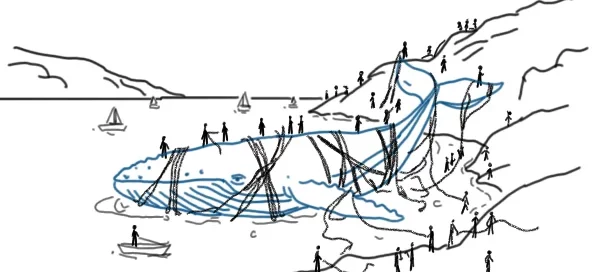 Ein Wal, der auf allen Seiten von Menschen bedrängt wird, so ähnlich wie Gulliver in dem zweiten Bild: Gefesselt mit Stricken und Menschen, die auf ihm herumlaufen,